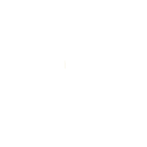 Animations